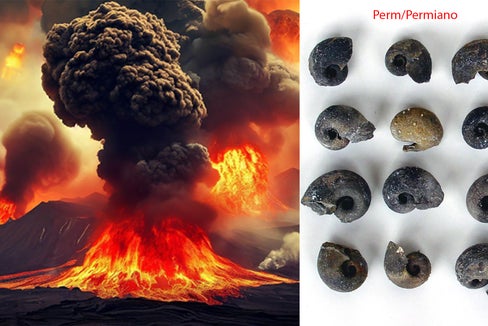 Eruziun vulcanica y corëc (Foto: Museum Ladin)