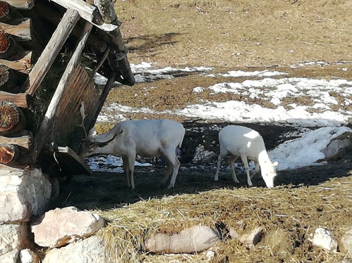 Storie davvero insolite provengono dai nostri musei. (Foto: Andreas Munter)