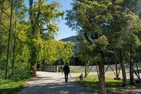 Wie überdimensionale Türme recken die Masten ihre Spitzen in den Himmel. Durch die Neuorganisation des Hochspannungsnetzes im Eisacktal soll vieles besser werden. (Foto: Claudia Corrent)