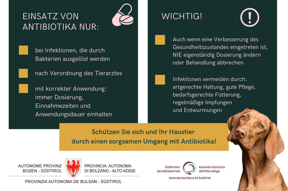 Mit einer Flyer-Aktion informieren Landesveterinärdienst und Sanitätsbetrieb über Antibiotikum. (Foto: LPA)