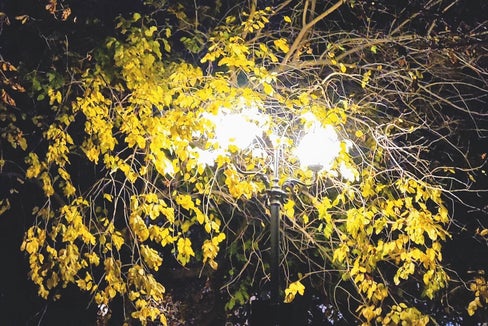 Un parco giochi illuminato artificialmente a Bolzano di notte: per insetti notturni, pipistrelli e anfibi l’illuminazione intensa diventa un ostacolo o una trappola ecologica. (Foto Museo di Scienze Naturali dell′Alto Adige)