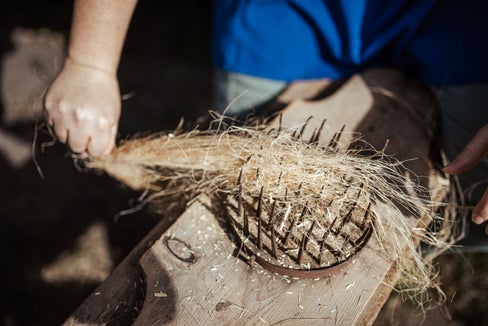 Lavorare con il lino. (Foto: Museo provinciale degli usi e costumi/Gerd Eder)