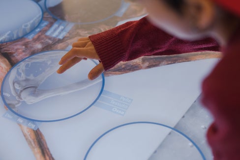 L’AI alleggerisce il lavoro e apre nuove possibilità per la trasmissione del sapere: descrizioni di oggetti generate automaticamente, conversione di guide audio e multimediali in più lingue o in un linguaggio semplice. Nella foto, il tavolo luminoso al Museo Archeologico dell’Alto Adige. (Foto: Patrizia Corriero)