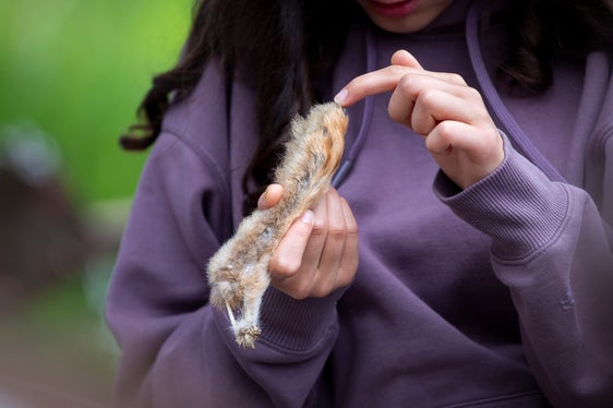 Foto: Fabio Brucculeri