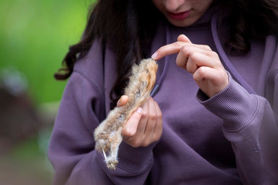 Sensibilisierung bei Groß und Klein für den wertvollen Lebensraum: Das ist eine wichtige Aufgabe der Südtiroler Naturparks. (Foto: LPA/Fabio Brucculeri)