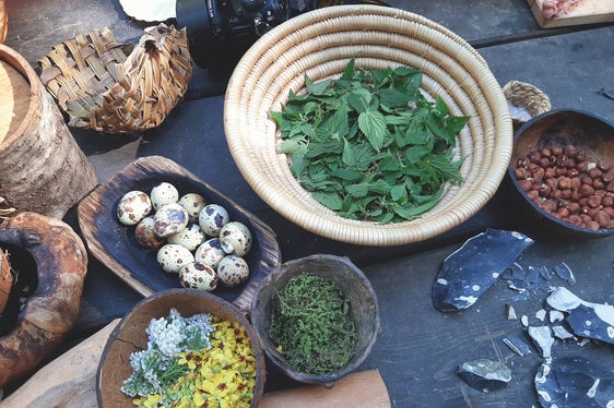 Tutto ciò che ad occhi inesperti appare come un bosco qualsiasi, grazie ad una guida esperta si rivela una dispensa fornita di ogni ben di Dio. (Foto: Museo Archeologico dell′Alto Adige)