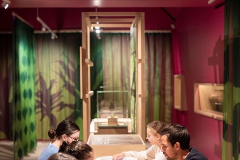 Sostenibilità non è solo la tutela dell’ambiente: anche l’inclusione e un’educazione di qualità per tutti sono temi chiave della strategia di sostenibilità dei Musei provinciali. (Foto: Marion Lafogler)