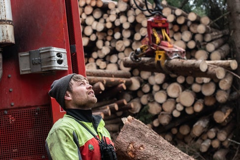 2,4 Millionen Kubikmeter Schadholz sind wegen des Borkenkäfers aus Südtirols Wäldern zu entfernen. Fast ein Viertel war Anfang März geschafft. (Foto: LPA/Ivo Corrà)