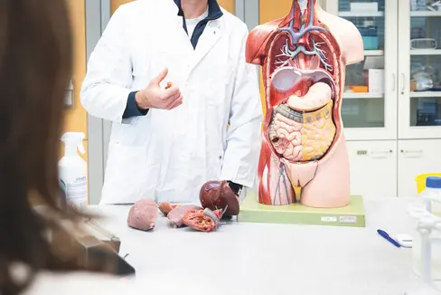 An der Fachhochschule für Gesundheitsberufe „Claudiana“ in Bozen gibt es seit September den Studiengang „Medicine and Surgery“. Der enge Kontakt zu den Lehrenden und der Zusammenhalt unter den Studierenden prägen den Alltag. (Foto: Fabio Brucculeri)