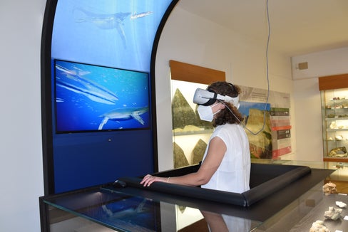 Mit dem abo+ gibt es im Sommer 2024 wieder freien Eintritt in die Museen in Südtirol. (Foto: Landesmuseen)