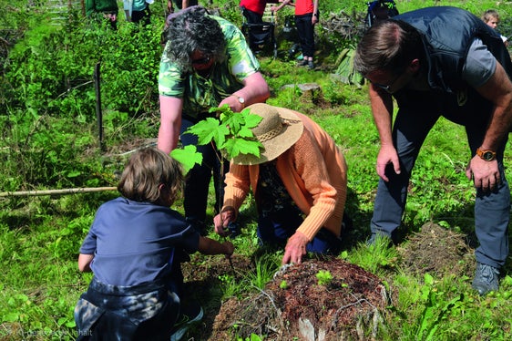 Crescere insieme: giovani, anziane e anziani impegnati nella piantumazione di un alberello a Braies di Fuori nel corso del progetto pluripremiato “Jung & MischwAlt”. (Foto: Ispettorato forestale di Monguelfo)