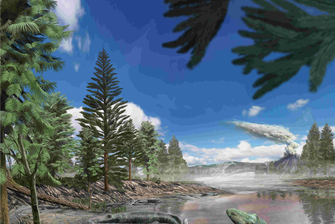 (Illustration: Davide Bonadonna)