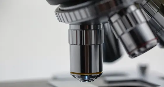 Allianz für Lehre und Forschung