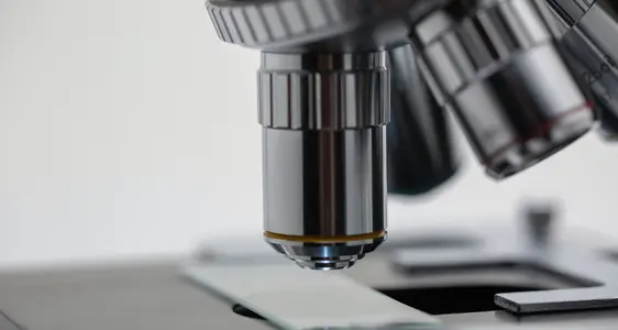 Allianz für Lehre und Forschung