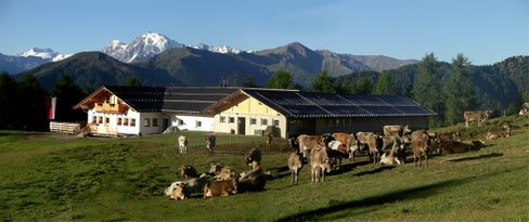 „Höferalm“ von Prämajur, einem Weiler oberhalb von Burgeis (Gemeinde Mals)