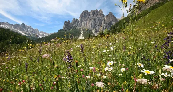 Die Erhaltung des Naturraumes und der Artenvielfalt