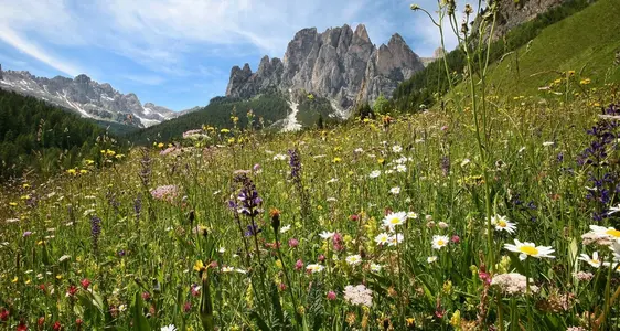 Die Erhaltung des Naturraumes und der Artenvielfalt