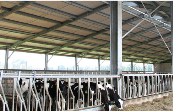 solutions agricoles