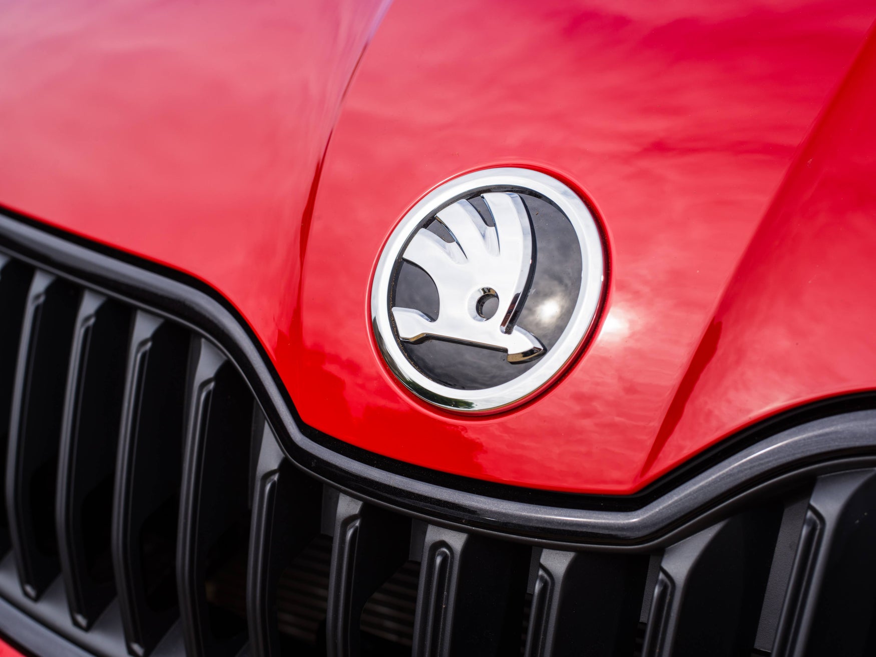 Skoda badge Octavia vRS