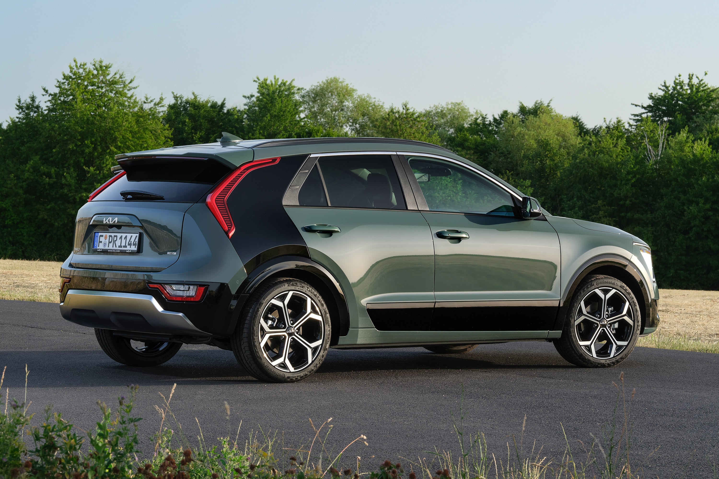 Kia Niro Review 2022: rear static