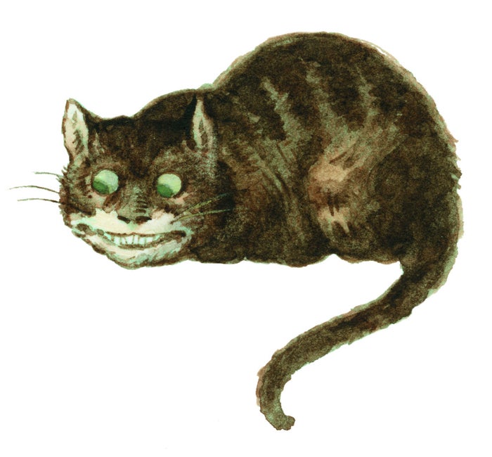 Illustration of the grinning Cheshire Cat from Alice in Wonderland.