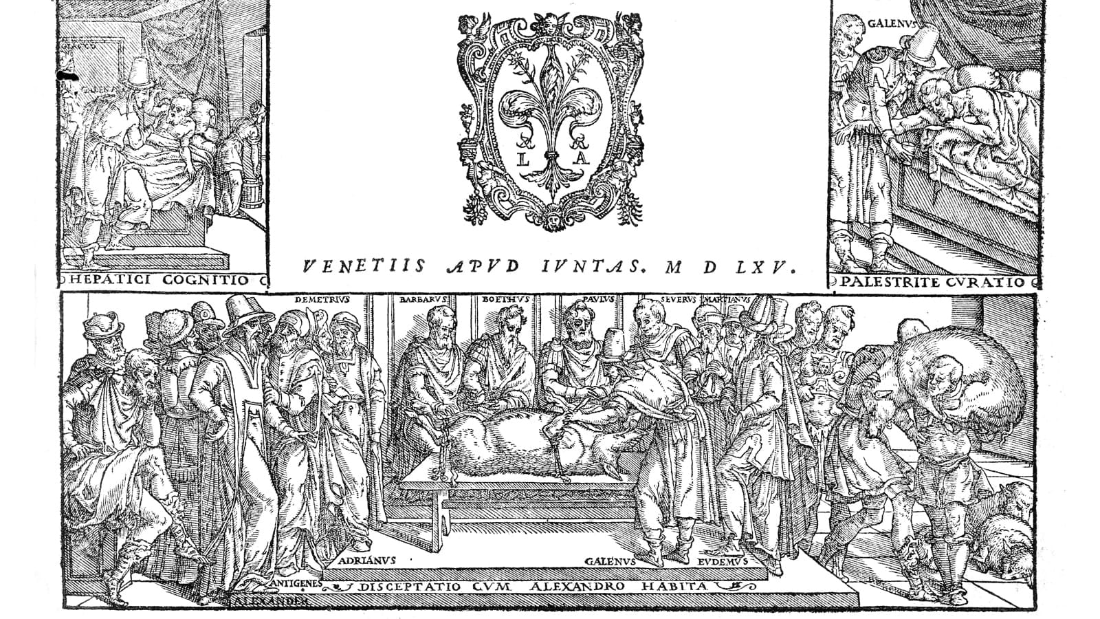 Roman Illustration of Galen conducting a public dissection of a pig