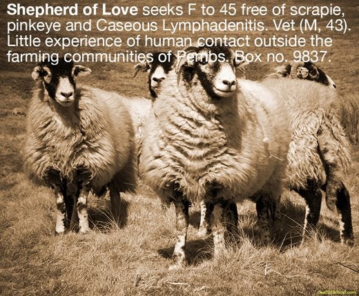 Image saying:  Shepherd of Love seeks F to 45 free of scrapie,pinkeye and Caseous Lymphadentis. Vet (M, 43). Little experience of human contact outside the farming communities of Pembs. Box no. 9837.