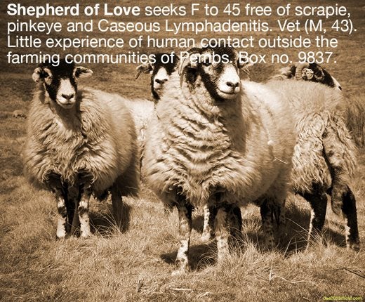 Image saying: Shepherd of Love seeks F to 45 free of scrapie,pinkeye and Caseous Lymphadentis. Vet (M, 43). Little experience of human contact outside the farming communities of Pembs. Box no. 9837.