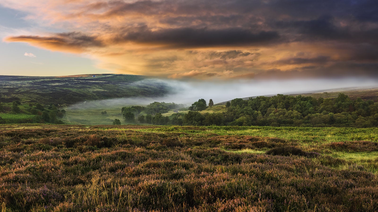Photograph of the Yorkshire Moors
