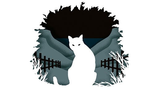 Cut out from Emily St John Mandel's The Singer's Gun depicting a white cat with grey fields and black fences behind it