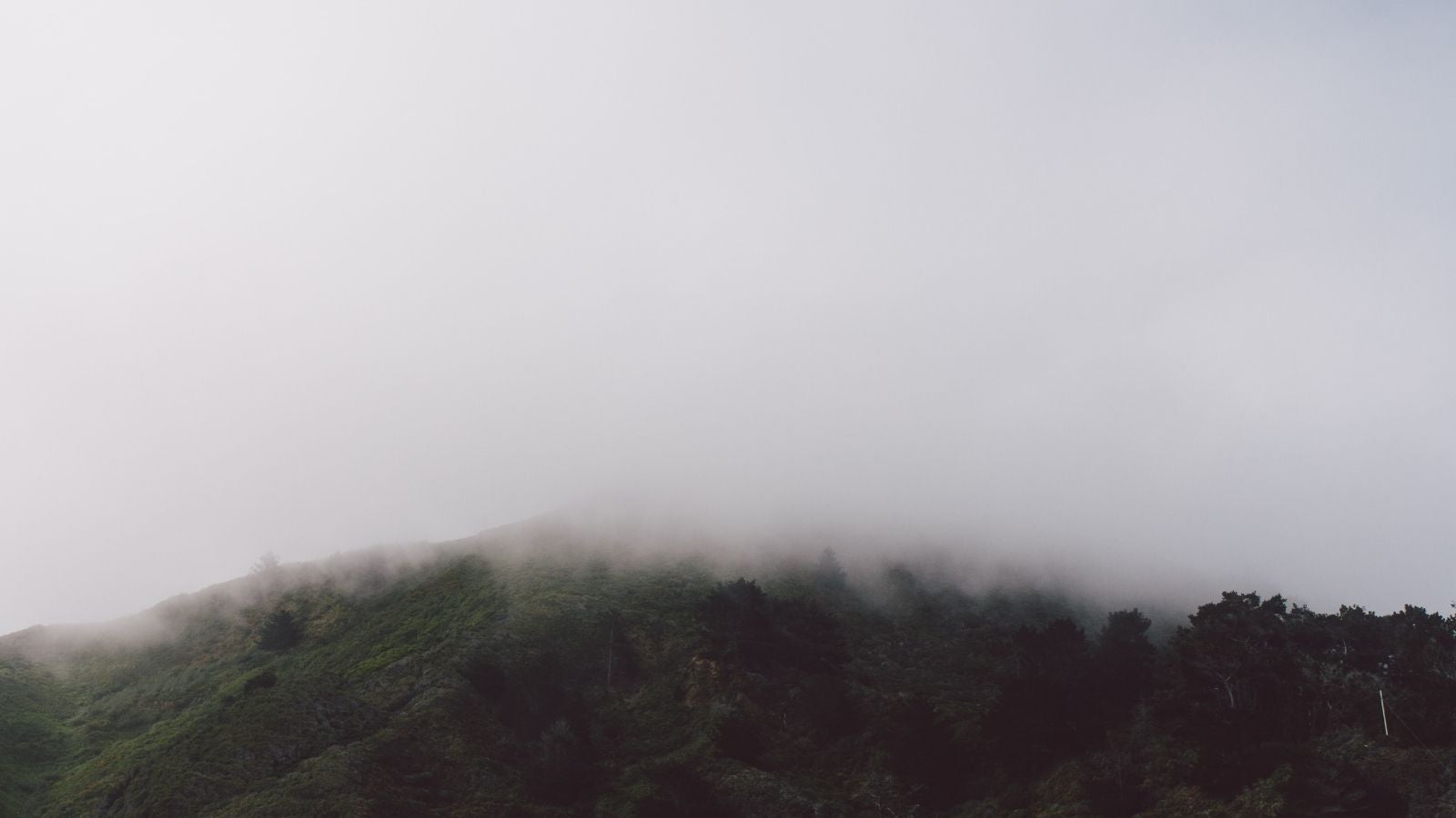 Hill shroud in mist
