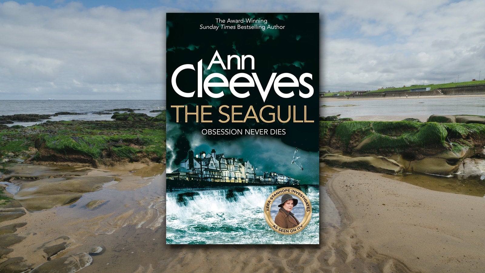 Ann Cleeves The Seagull 