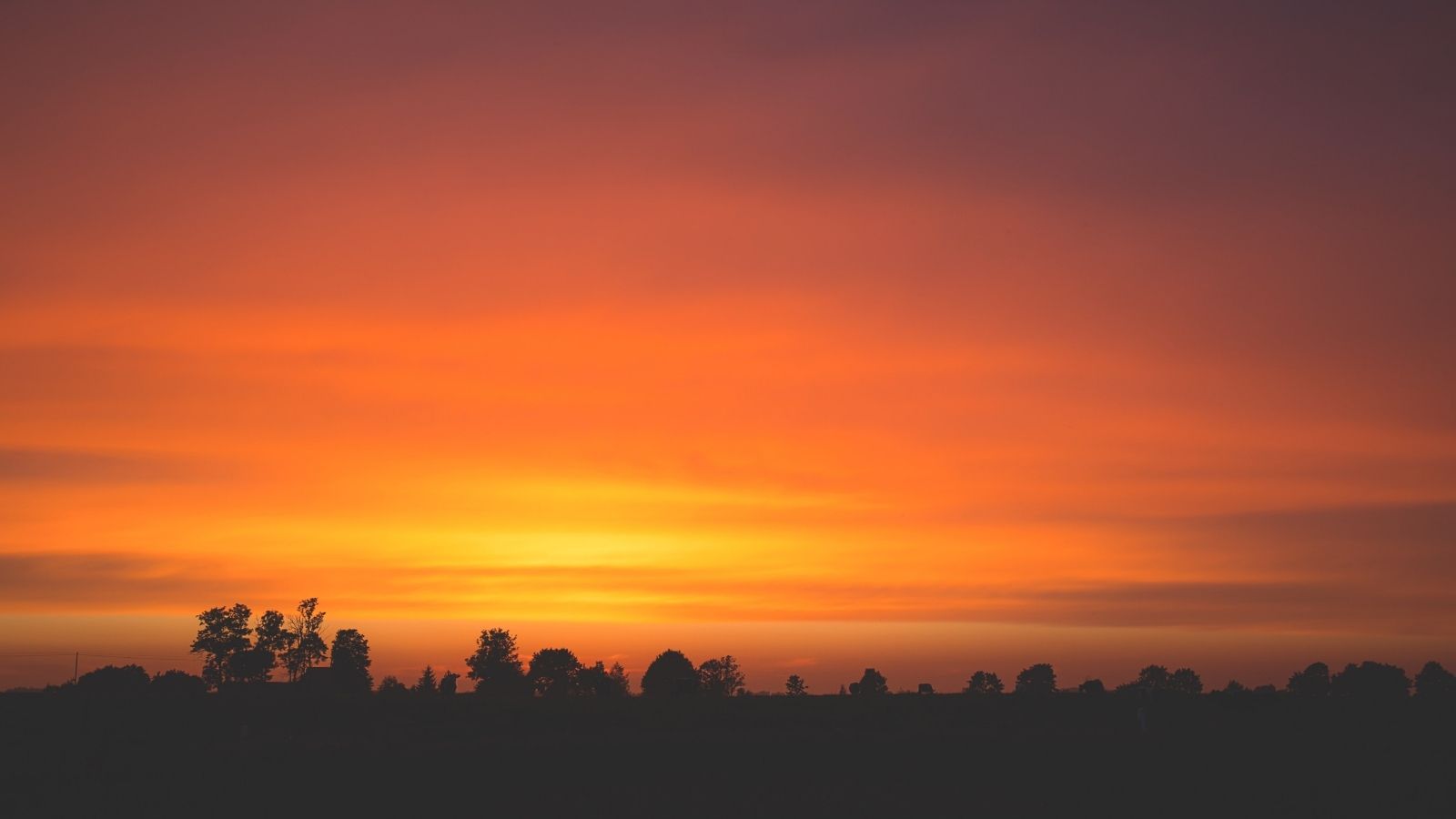 Late Summer Sunset with silhouette of trees