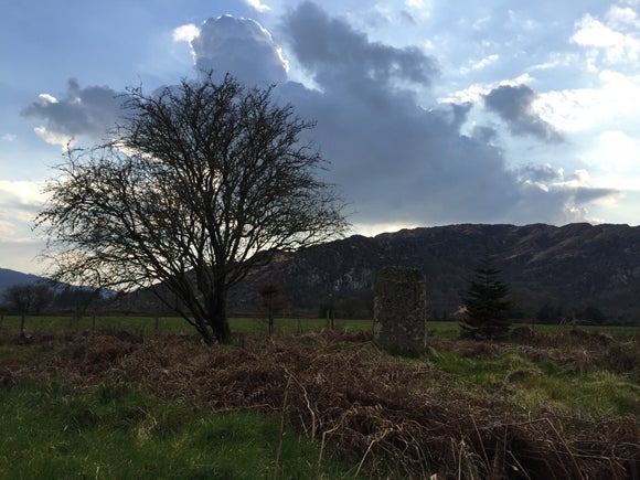 A tree, bare of leaves, next to a rectangular pile of ancient bricks in a field, with mountains i the background and a blue sky - the sunlight behind clouds