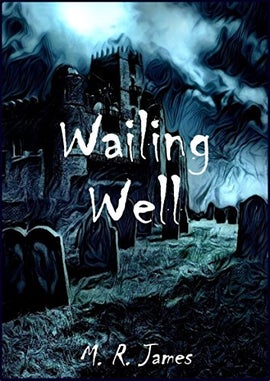 Book cover for Wailing Well