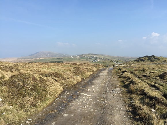 A country path, with sweeping grass fields either side and mountains in the distance on a sunny day