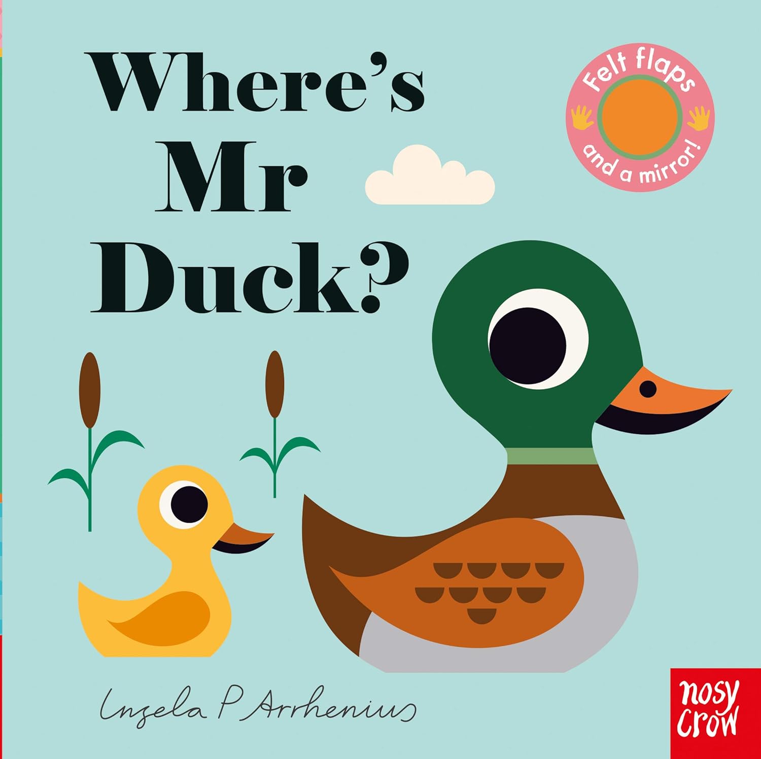 Book cover for Where's Mr Duck?