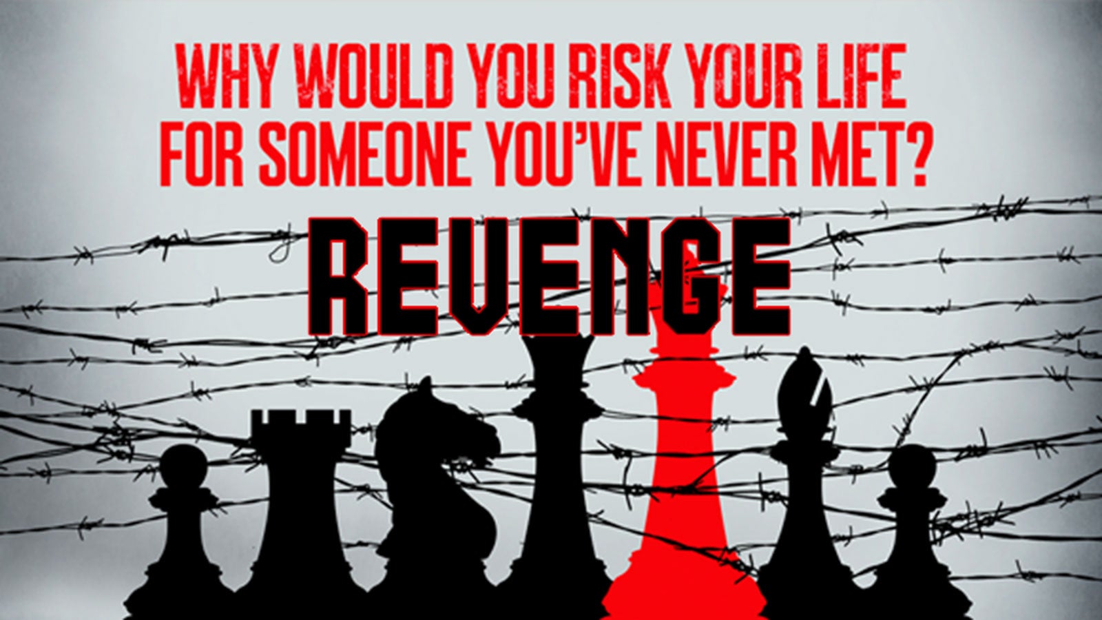 Why would you risk your life for someone you've never met? Revenge. Chess pieces in barbed wire