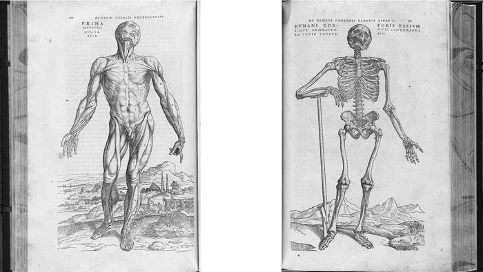 Black and white drawings of two human bodies from De humani Corporis Fabrica book. One stripped of it's skin displaying muscles, the other as a skeleton