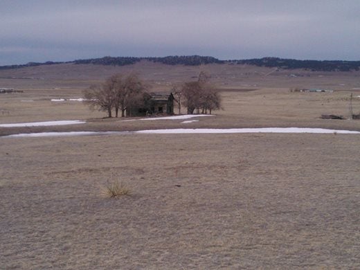 An abandoned homestead