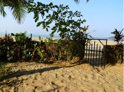 Beach in Goa with metal gate and tropical plants