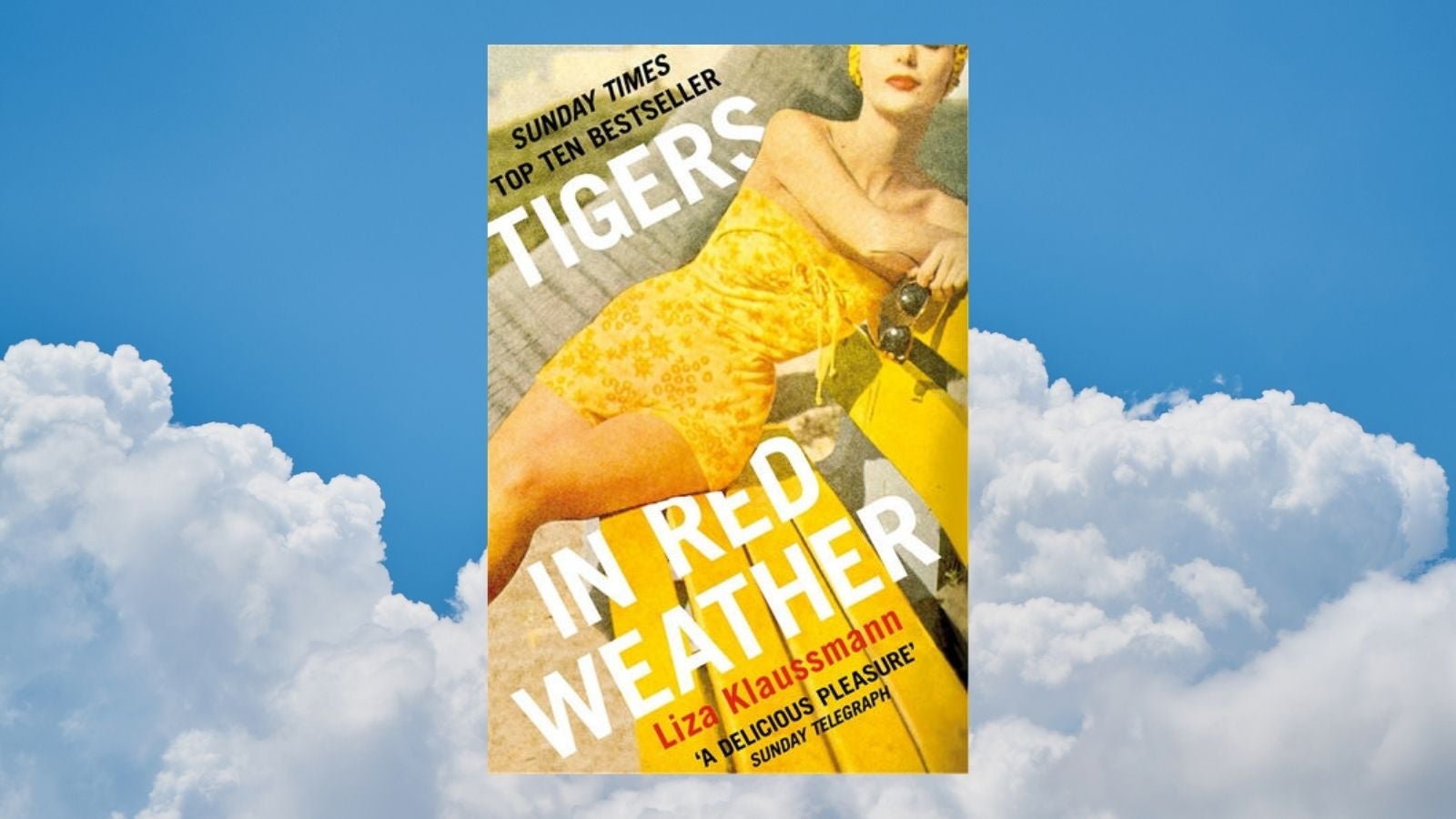 Tigers in Red Weather book cover with blue cloud background