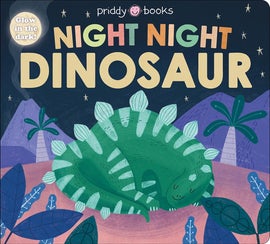 Book cover for Night Night Dinosaur