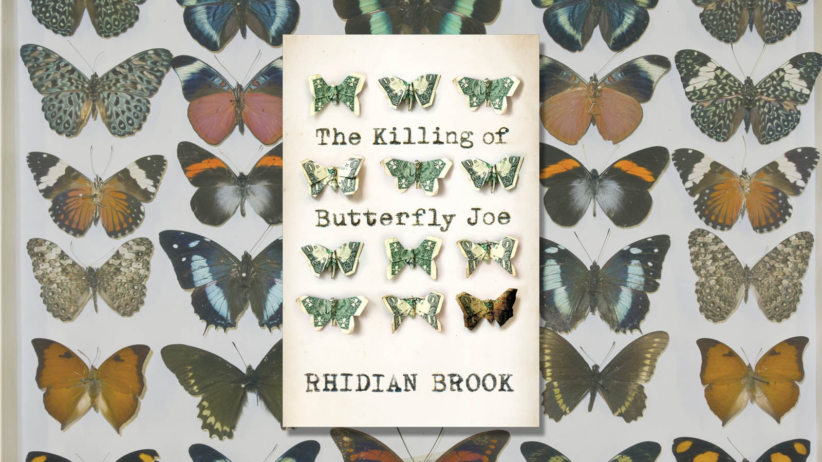 The Killing of Butterfly Joe Rhidian Brook  Book Jacket