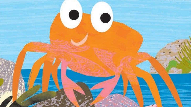 Tim Hopgood crab illustration