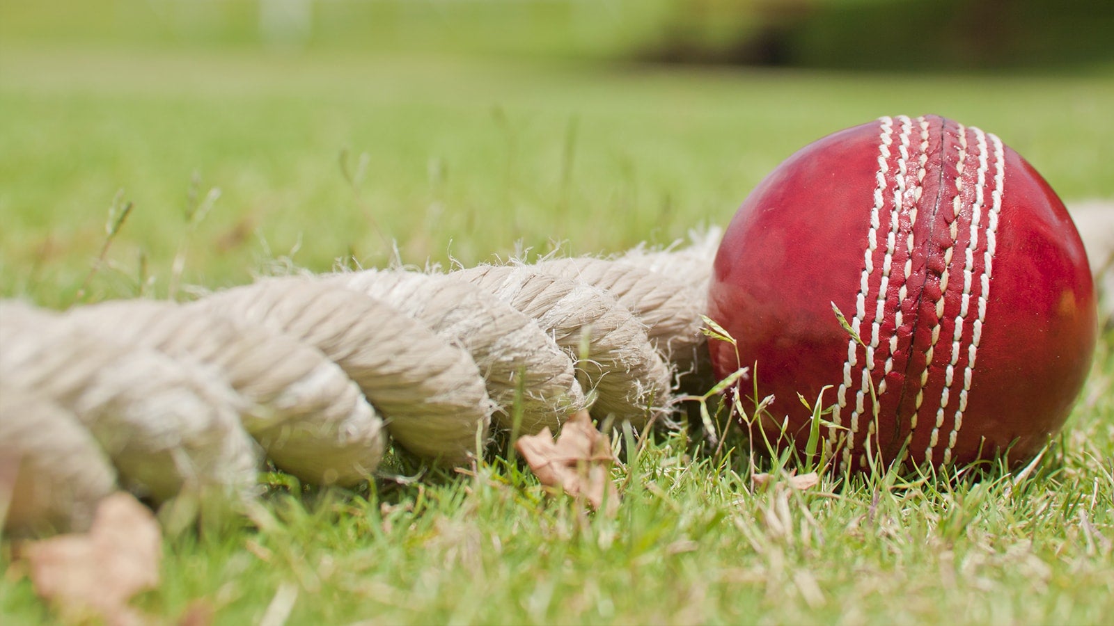 Red cricket ball on the boundary rope