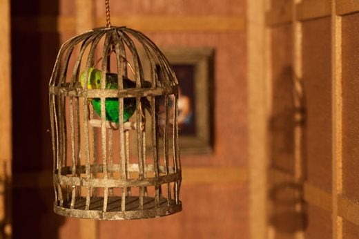 Tiny budgie on a perch in a small gold cage