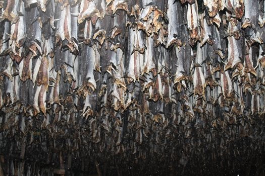 a room filled with fish hanging out to dry from the ceiling