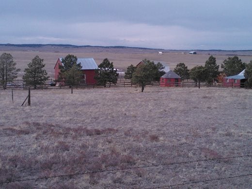 Red barns through the trees