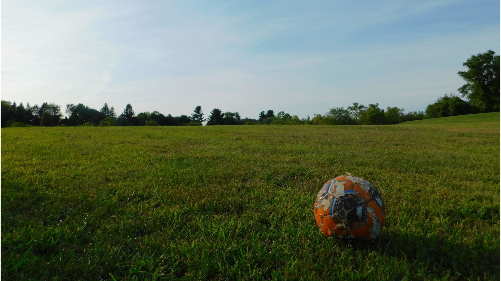 Old football on grass field 